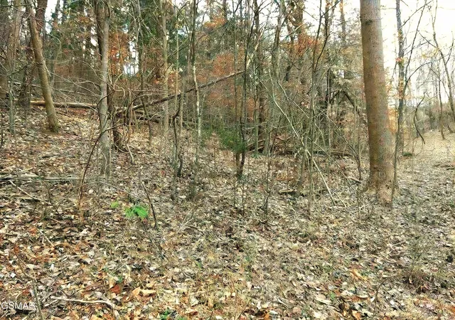 Photo 3 of Land for sale at 17 Scott Street, Sevierville, TN 37876 | MLS# 3278473 | Listing updated on 2026-10-09