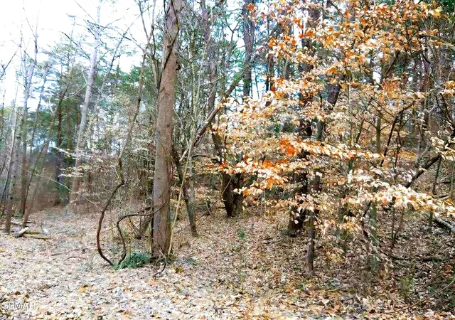 Photo 4 of Land for sale at 17 Scott Street, Sevierville, TN 37876 | MLS# 3278473 | Listing updated on 2026-10-09