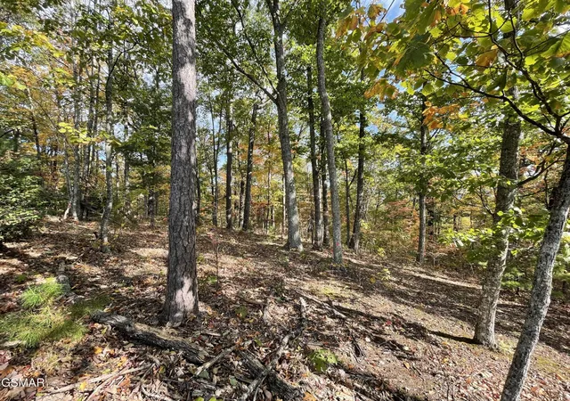 Photo 2 of Land for sale at 234 Sulpher Springs Way, Sevierville, TN 37862 | MLS# 3288494 | Listing updated on 2026-09-11