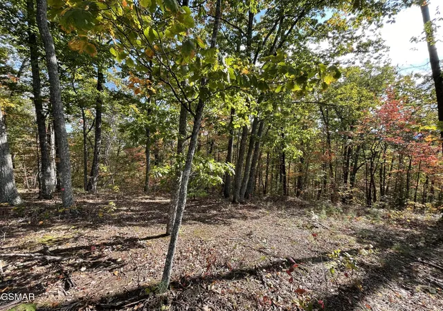 Photo 3 of Land for sale at 234 Sulpher Springs Way, Sevierville, TN 37862 | MLS# 3288494 | Listing updated on 2026-09-11
