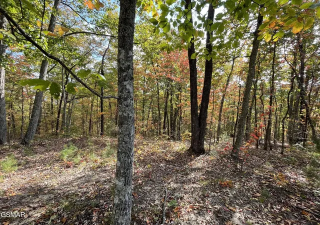 Photo 3 of Land for sale at 234 Sulpher Springs Way, Sevierville, TN 37862 | MLS# 3288494 | Listing updated on 2026-09-11