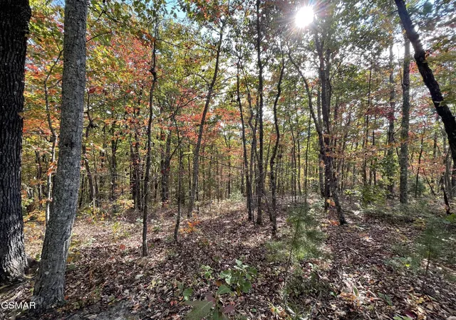 Photo 4 of Land for sale at 234 Sulpher Springs Way, Sevierville, TN 37862 | MLS# 3288494 | Listing updated on 2026-09-11