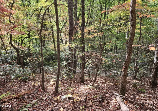 Photo 1 of Land for sale at 11 Bluff Mtn Rd, Sevierville, TN 37876 | MLS# 3309003 | Listing updated on 2026-10-07