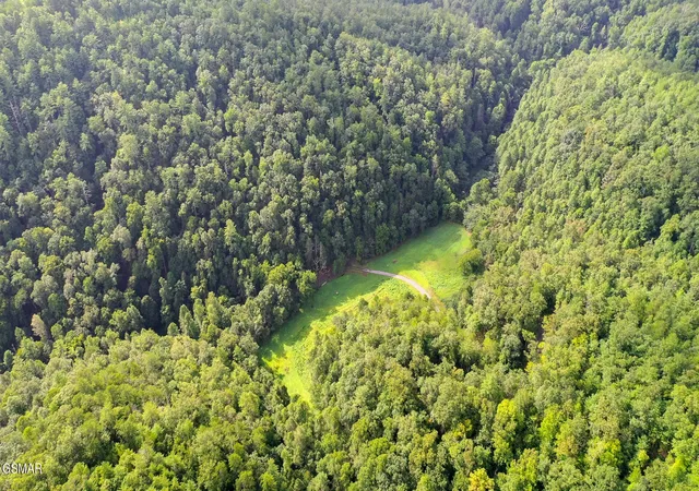 Photo 4 of Sale Pending at 0 Bethel Church Rd, Townsend, TN 37882 | MLS# 3548454 | Listing updated on 2026-09-14
