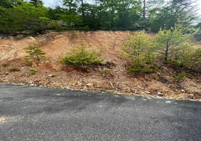 Photo 3 of Land for sale at 180 Jones Creek Lane, Sevierville, TN 37862 | MLS# 3263094 | Listing updated on 2026-09-11
