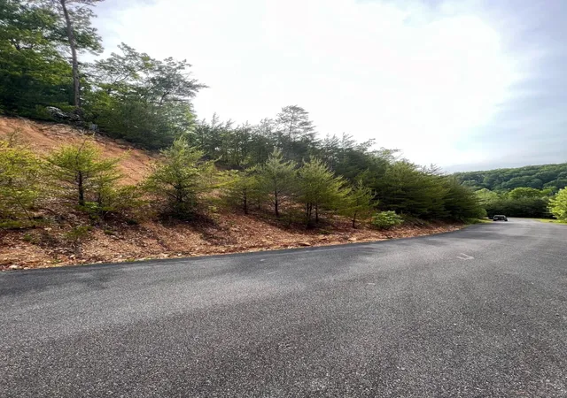 Photo 3 of Land for sale at 180 Jones Creek Lane, Sevierville, TN 37862 | MLS# 3263094 | Listing updated on 2026-09-11