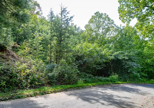Photo 1 of Land for sale at 13 Lexy Ln, Sevierville, TN 37862 | MLS# 3278326 | Listing updated on 2026-09-11