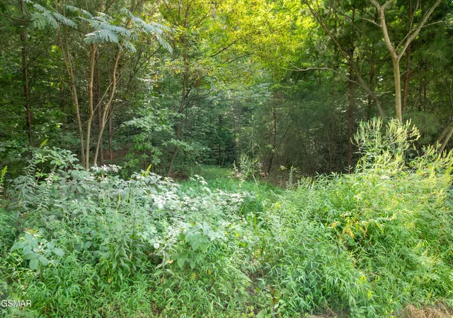 Photo 2 of Land for sale at 13 Lexy Ln, Sevierville, TN 37862 | MLS# 3278326 | Listing updated on 2026-09-11
