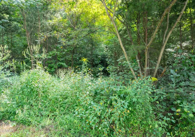 Photo 3 of Land for sale at 13 Lexy Ln, Sevierville, TN 37862 | MLS# 3278326 | Listing updated on 2026-09-11