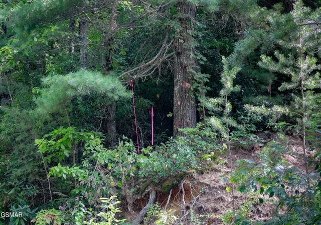 Photo 4 of Land for sale at 13 Lexy Ln, Sevierville, TN 37862 | MLS# 3278326 | Listing updated on 2026-09-11