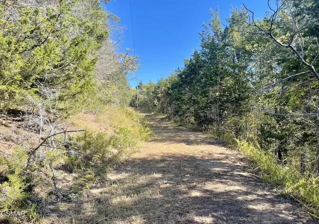 Photo 2 of Land for sale at 0 Thurman Rd, Newport, TN 37821 | MLS# 3320306 | Listing updated on 2026-09-11