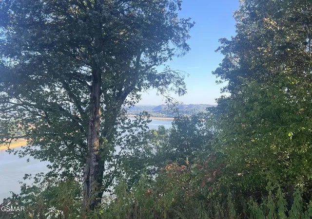 Photo 4 of Land for sale at 0 Thurman Rd, Newport, TN 37821 | MLS# 3320306 | Listing updated on 2026-09-11
