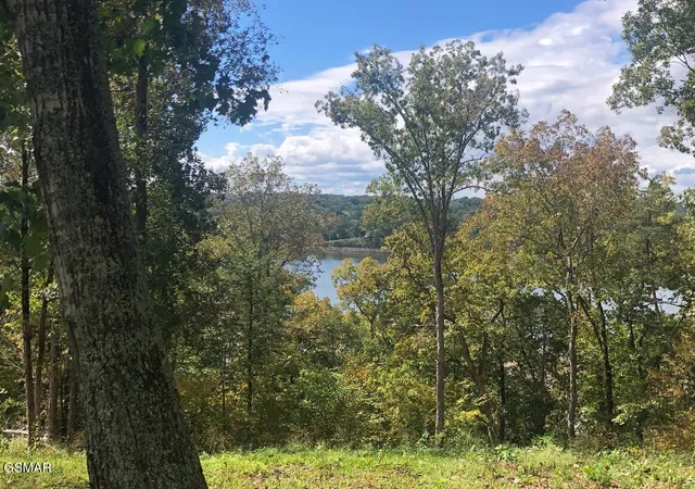 Photo 2 of Single family home for sale at 1516 Waterford, Newport, TN 37821 | MLS# 3264184 | Listing updated on 2026-09-11