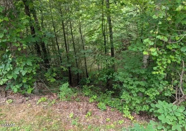 Photo 1 of Sale Pending at 934 Ski Moutain Rd, Gatlinburg, TN 37738 | MLS# 3544561 | Listing updated on 2026-09-11