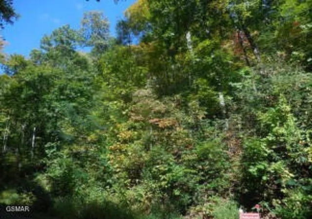 Photo 1 of Sale Pending at 0 Off Hidden Valley, Gatlinburg, TN 37738 | MLS# 3544562 | Listing updated on 2026-09-11