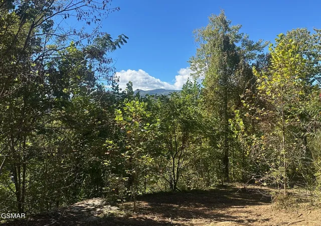 Photo 1 of Land for sale at 361 Oakwood Dr, Sevierville, TN 37876 | MLS# 3510509 | Listing updated on 2026-09-11