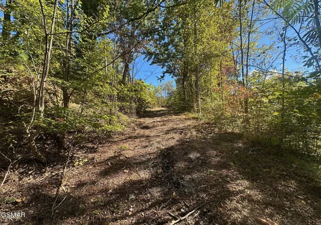 Photo 3 of Land for sale at 361 Oakwood Dr, Sevierville, TN 37876 | MLS# 3510509 | Listing updated on 2026-09-11