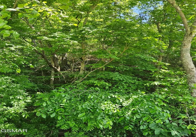 Photo 3 of Sale Pending at 335 Oakwood Rd, Midway, TN 37809 | MLS# 3302149 | Listing updated on 2026-09-11