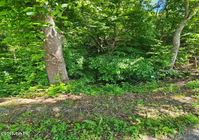 Photo 4 of Sale Pending at 335 Oakwood Rd, Midway, TN 37809 | MLS# 3302149 | Listing updated on 2026-09-11