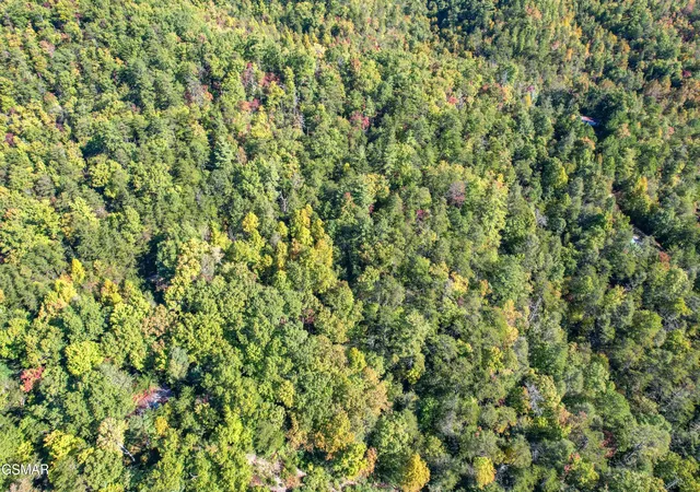 Photo 4 of Land for sale at 0 Branam Holw Rd Off, Gatlinburg, TN 37738 | MLS# 3278280 | Listing updated on 2026-09-11