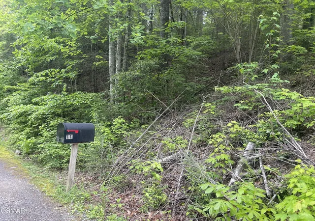 Photo 3 of Land for sale at 1115 Tranquility Hills Way, Cosby, TN 37722 | MLS# 3320308 | Listing updated on 2026-09-11