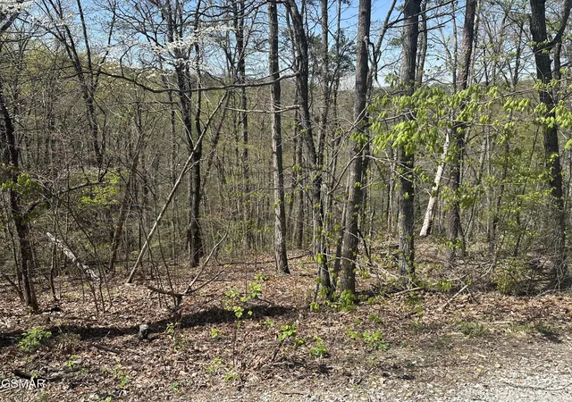 Photo 3 of Land for sale at 1532 Mountain Dreams Way Way, Sevierville, TN 37862 | MLS# 3265818 | Listing updated on 2026-09-11