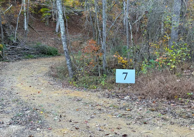 Land for sale at 7 Topaz Way, Parrottsville, TN 37843 | MLS# 3548481