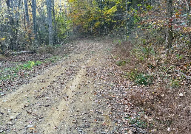 Photo 2 of Land for sale at 7 Topaz Way, Parrottsville, TN 37843 | MLS# 3548481 | Listing updated on 2026-09-21