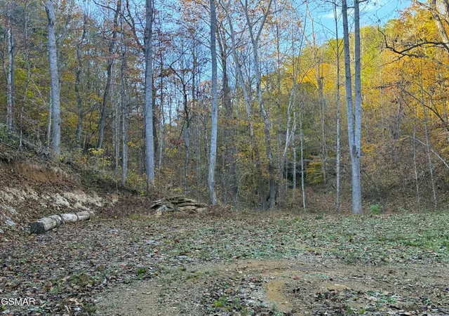 Photo 3 of Land for sale at 7 Topaz Way, Parrottsville, TN 37843 | MLS# 3548481 | Listing updated on 2026-09-21