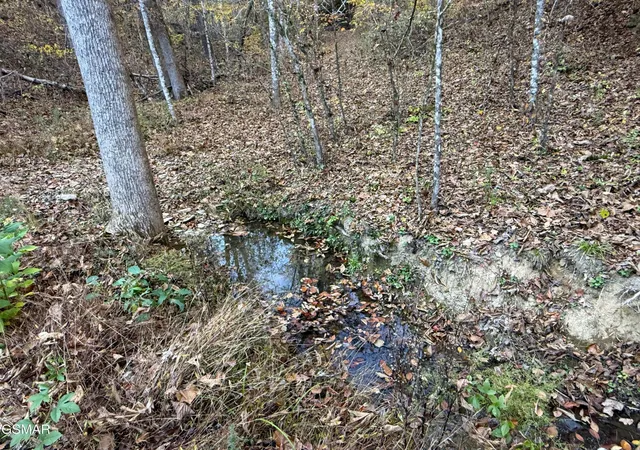 Photo 4 of Land for sale at 7 Topaz Way, Parrottsville, TN 37843 | MLS# 3548481 | Listing updated on 2026-09-21