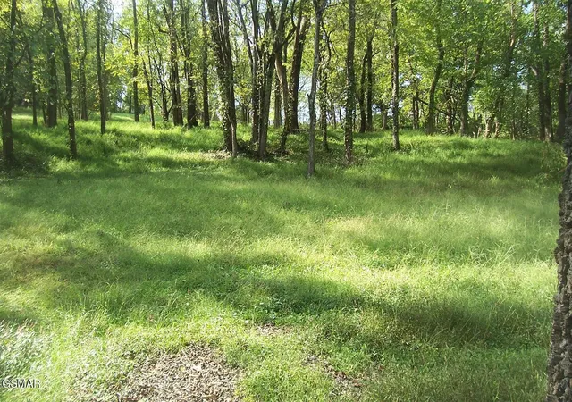 Photo 4 of Land for sale at 21 Chapman Hwy, Seymour, TN 37865 | MLS# 3304077 | Listing updated on 2026-09-15