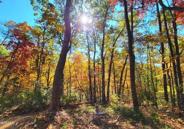 Photo 1 of Land for sale at 54 Riversong Ridge Way, Sevierville, TN 37876 | MLS# 3263115 | Listing updated on 2026-09-11