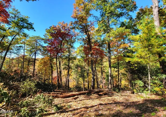 Photo 2 of Land for sale at 54 Riversong Ridge Way, Sevierville, TN 37876 | MLS# 3263115 | Listing updated on 2026-09-11