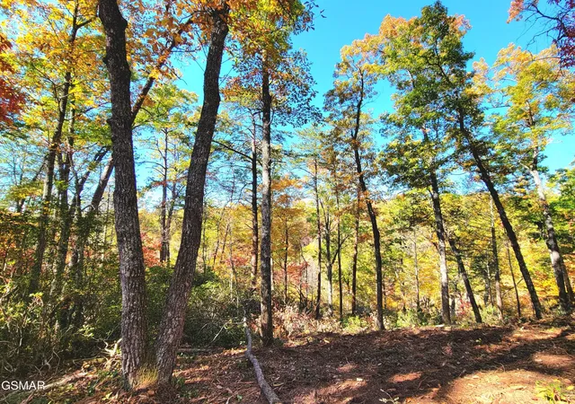 Photo 3 of Land for sale at 54 Riversong Ridge Way, Sevierville, TN 37876 | MLS# 3263115 | Listing updated on 2026-09-11