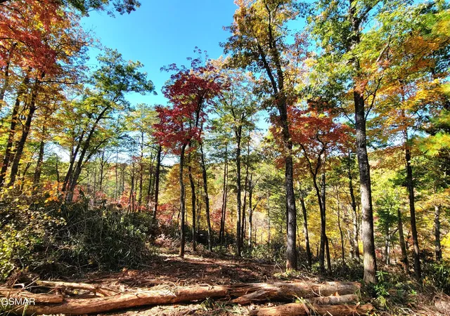 Photo 3 of Land for sale at 54 Riversong Ridge Way, Sevierville, TN 37876 | MLS# 3263115 | Listing updated on 2026-09-11