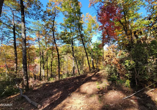 Photo 4 of Land for sale at 54 Riversong Ridge Way, Sevierville, TN 37876 | MLS# 3263115 | Listing updated on 2026-09-11