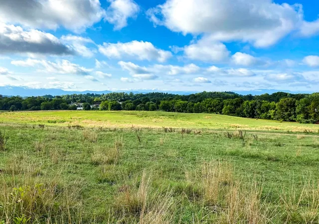 Photo 2 of Land for sale at 0 Hwy 139, Dandridge, TN 37725 | MLS# 3309988 | Listing updated on 2026-09-11