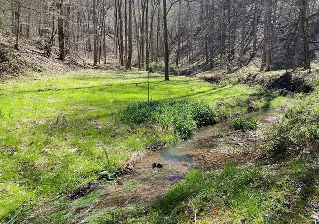 Photo 1 of Land for sale at 0 Valley Springs Way, Sevierville, TN 37862 | MLS# 3270064 | Listing updated on 2026-09-11