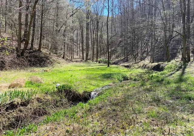 Photo 2 of Land for sale at 0 Valley Springs Way, Sevierville, TN 37862 | MLS# 3270064 | Listing updated on 2026-09-11