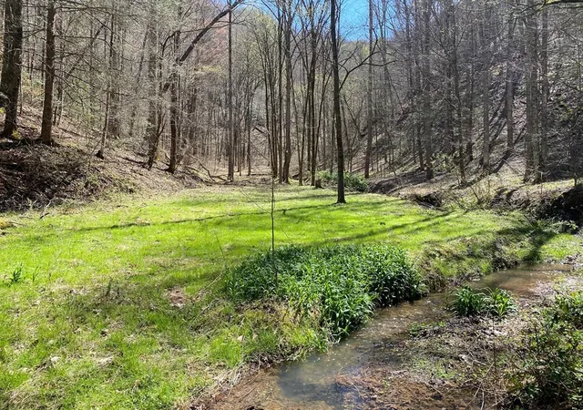 Photo 3 of Land for sale at 0 Valley Springs Way, Sevierville, TN 37862 | MLS# 3270064 | Listing updated on 2026-09-11
