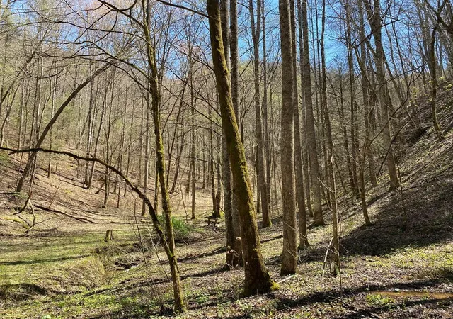 Photo 3 of Land for sale at 0 Valley Springs Way, Sevierville, TN 37862 | MLS# 3270064 | Listing updated on 2026-09-11