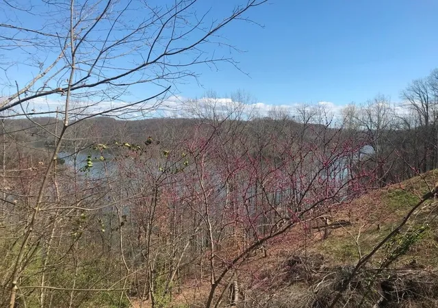 Photo 1 of Land for sale at 0 Marsh Rd, Smithville, TN 37166 | MLS# 3548509 | Listing updated on 2026-09-22