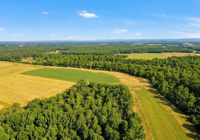 Photo 1 of Land for sale at 0 Whitaker Lane, Belvidere, TN 37306 | MLS# 3245135 | Listing updated on 2026-09-09