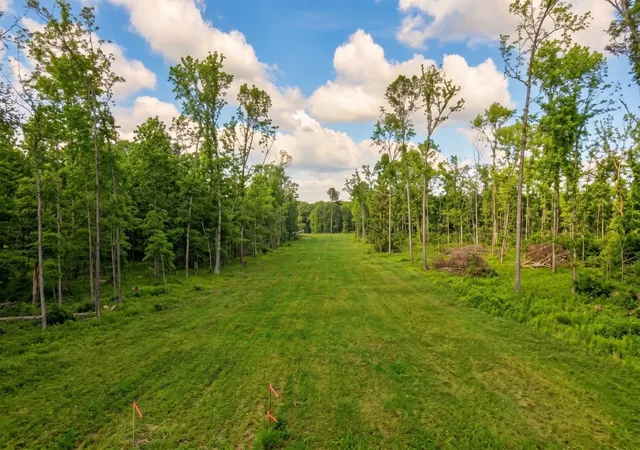 Photo 3 of Land for sale at 0 Whitaker Lane, Belvidere, TN 37306 | MLS# 3245135 | Listing updated on 2026-09-09