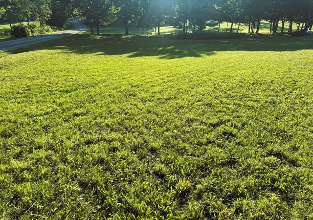 Land for sale at 0 County Rd 571, Englewood, TN 37329 | MLS# 3244246