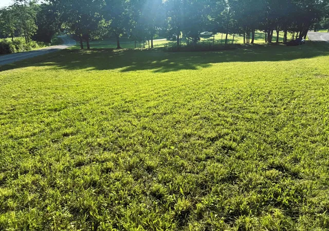 Photo 3 of Land for sale at 0 County Rd 571, Englewood, TN 37329 | MLS# 3244246 | Listing updated on 2026-09-23