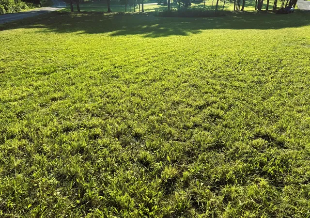 Photo 4 of Land for sale at 0 County Rd 571, Englewood, TN 37329 | MLS# 3244246 | Listing updated on 2026-09-23