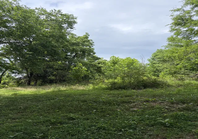 Photo 3 of Land for sale at 200 Robert Neal Durham Rd, Bethpage, TN 37022 | MLS# 3242865 | Listing updated on 2026-09-15