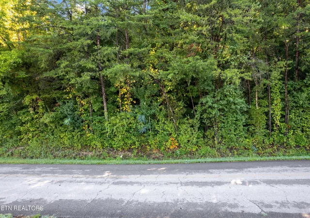 Photo 2 of Land for sale at 0 Delozier Ln, Rockwood, TN 37854 | MLS# 3244106 | Listing updated on 2026-09-11