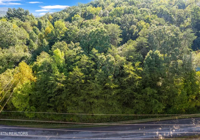 Photo 3 of Land for sale at 0 Delozier Ln, Rockwood, TN 37854 | MLS# 3244106 | Listing updated on 2026-09-11